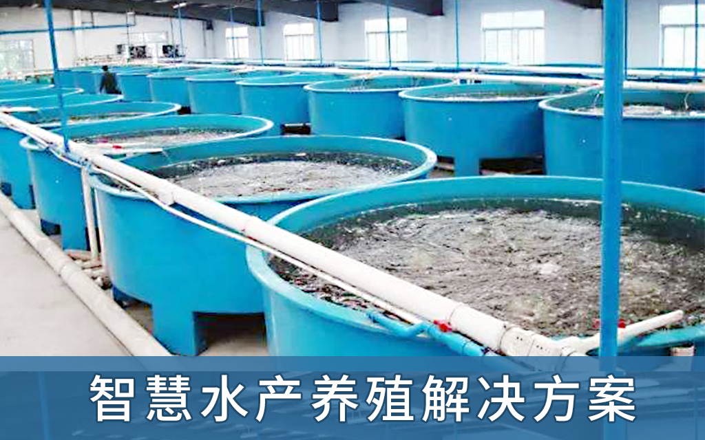 智慧水产养殖_智慧水产养殖设备_智慧渔业-关于我们